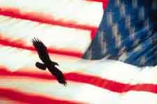 flag-and-eagle2.jpg